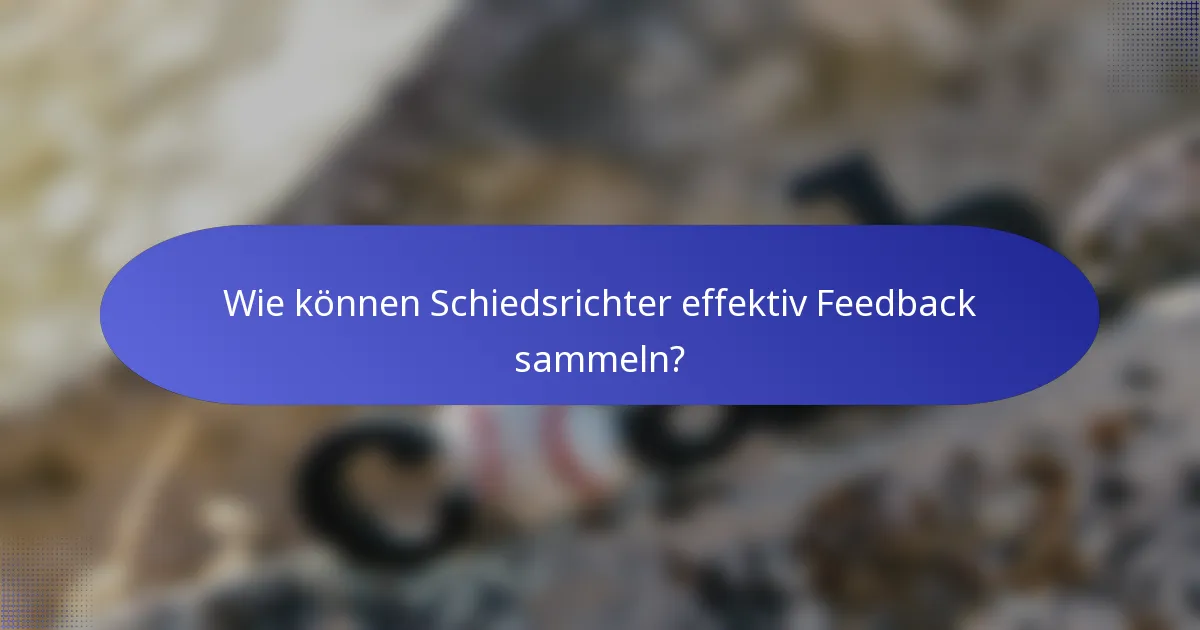 Wie können Schiedsrichter effektiv Feedback sammeln?
